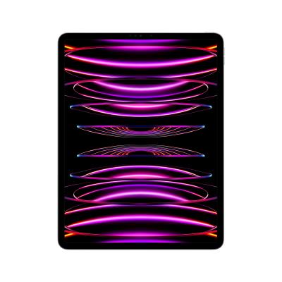 Apple iPad Pro 256 Go 32,8 cm (12.9"") Apple M 8 Go Wi-Fi 6E MNXR3FD/A