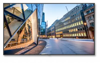 NEC  multisync c981q 60004516