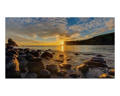 SAMSUNG  IF025R, LED, 384 x 216 pixels LH025IFRCLS/EN