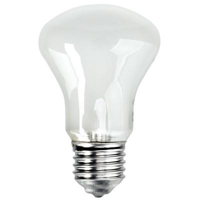ELINCHROM  lampe pilote 100W 196V pour torche D-lite