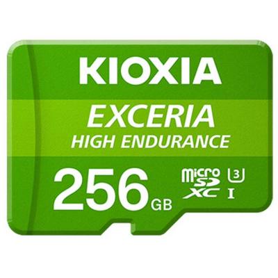 KIOXIA Exceria lmhe1g256gg2 256 go sd 100 mo/s vert