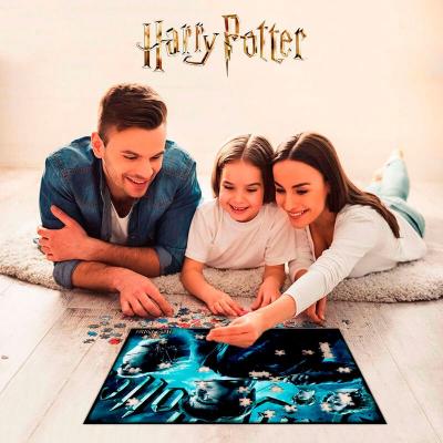 HARRY POTTER Prime 3d  Lenticular Puzzle 500 Pieces Multicolore
