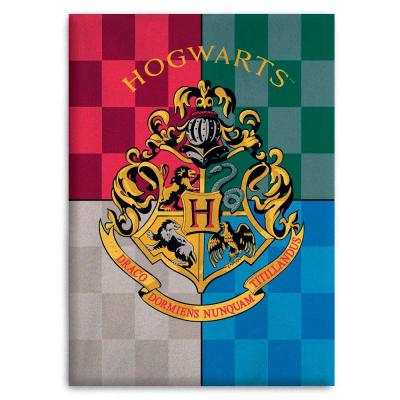 AYMAX Plaid Polaire Harry Potter Blason De Poudlard Hogwarts - 100x140 Cm 