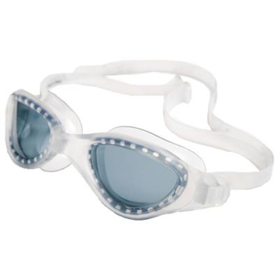 FINIS   Energy - Lunettes de natation - Clair/Smoke - 3.45.065.221