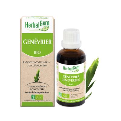 HERBALGEM  Gen&eacute;vrier Bio Mac&eacute;rat-M&egrave;re de Gemmoth&eacute;rapie Concentr&eacute;e 30 ml