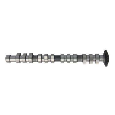 AE Arbre &agrave; came  CAM743