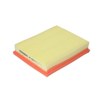FILTRON Filtre a  air  AP 080/2 (X1)