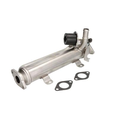 Module-EGR EASY FIT NRF 48312