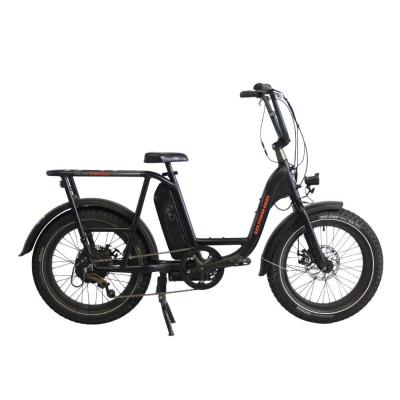 RAD BIKE V&eacute;lo &eacute;lectrique RadPowerBikes RadRunner - 20 pouces - 250 Watts - Noir