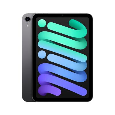 Apple iPad mini (2021) Wi-Fi (6e g&eacute;n&eacute;ration). Couleur: Gris