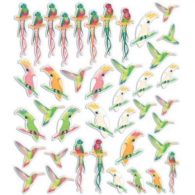 TOGA  Formes D&eacute;coup&eacute;es Oiseaux Tropicaux