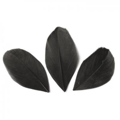 GRAINE CREATIVE ON A TOUS DU TALENT Plumes Coup&eacute;es Noir - 6 cm - 3 gr - Graine Cr&eacute;ative - couleur variant