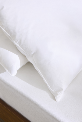 ESSIX Oreiller en duvet & plumettes Supr&ecirc;me 