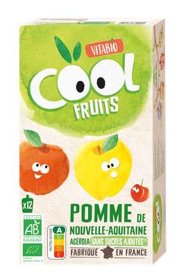 Vitabio Cool - Gourdes Fruits Pomme Acerola 12 X 90g - Compote - BIO