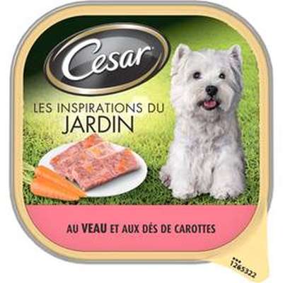 CESAR  Barquette veau en terrine pour chien - La boite de 300g