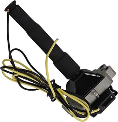 BORG WARNER Bobine d'allumage  (BERU) 0040100043