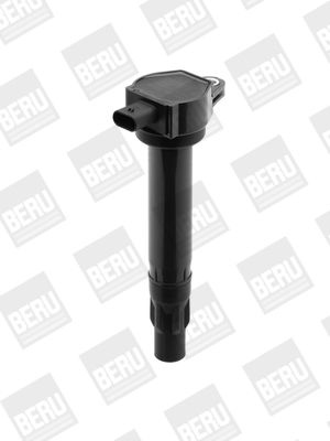 BERU Bobine d'allumage BorgWarner () ZS453 (X1)