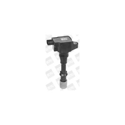 BERU Bobine d'allumage BorgWarner () ZSE175 (X1)