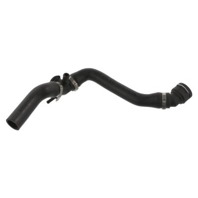 FEBI BILSTEIN Durite de radiateur  36092