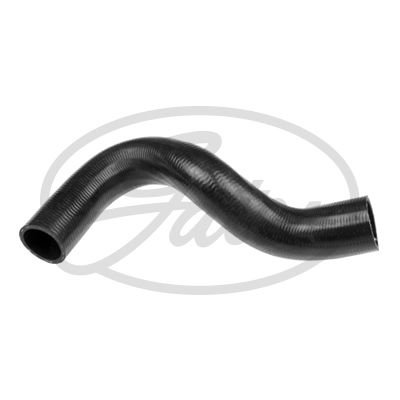 GATES  Durite de radiateur 3798 FORD TRANSIT