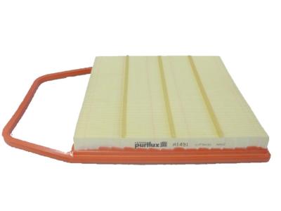 PURFLUX Filtre a  air  A1491 (X1)