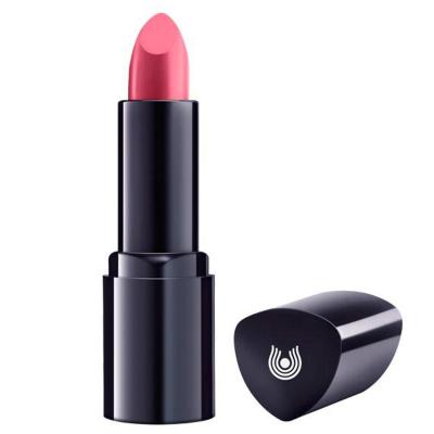 DR. HAUSCHKA  Lipstick 14 caralluma, Inhalt 4,1 g