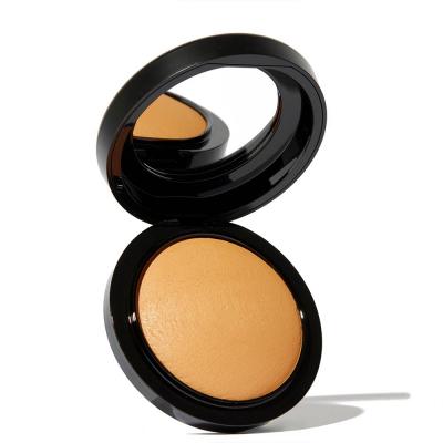 MAC  Cosmetics Mineralize Skinfinish Natural poudre teinte Dark 10 g