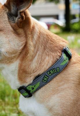 THE MANDALORIAN Collier pour chien  &ndash; Licence officielle Disney