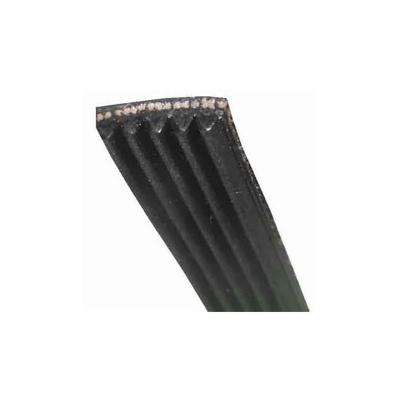 INDESIT Courroie 1214J5 1226J5 Lave-linge (C00092020  ARISTON HOTPOINT)