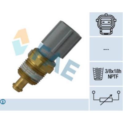 FAE  Sonde de temp&eacute;rature (liquide de refroidissement) 33734
