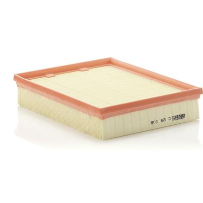 MANN FILTER MANN-FILTER Filtre &agrave; Air C 25 109 &ndash; Pour v&eacute;hicule particulier
