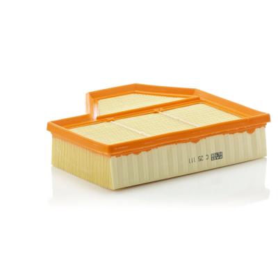 MANN FILTER Filtre a  air MANN-FILTER C 25 111 (X1)