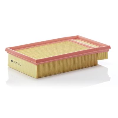 MANN FILTER MANN-FILTER Filtre &agrave; air C 29 117 &ndash; Pour v&eacute;hicules particuliers