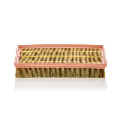 MANN FILTER MANN-FILTER Filtre &agrave; Air C 33 189 &ndash; Pour v&eacute;hicules particuliers