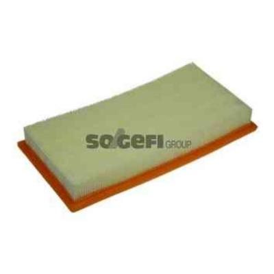 PURFLUX Filtre a  air  A1310 (X1)