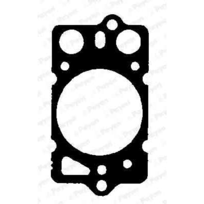 PAYEN Joint de culasse  BP260 (X1)