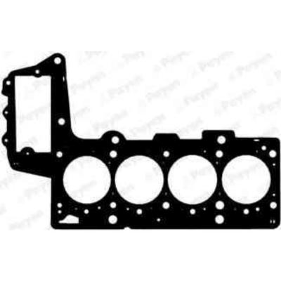 PAYEN Joint de culasse  BZ700 (X1)