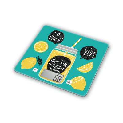 TERRAILLON Balance De Cuisine Verte T1040  - La Balance De Cuisine