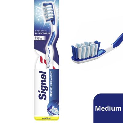 SIGNAL  brosse &agrave; dents syst&egrave;me blancheur eclat intense medium 