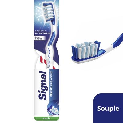 SIGNAL  brosse &agrave; dents syst&egrave;me blancheur eclat intense souple x1 