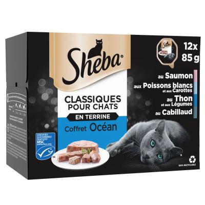 SHEBA P&acirc;t&eacute;e Pour Chat Terrines Oc&eacute;an  - Les 12 Barquettes De 85 G