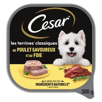 CESAR P&acirc;t&eacute;e Pour Chien Au Poulet  - La Barquette De 300g