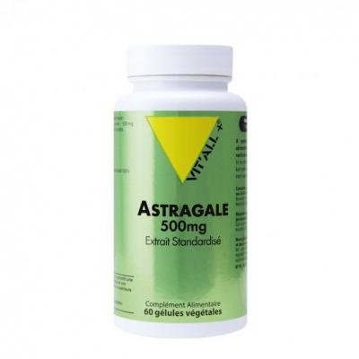VITALL+ Astragale 500mg 60 Capsules 500mg Vit'All+