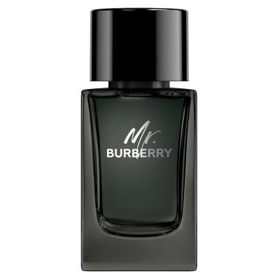 Burberry Mr Burberry Eau de Parfum Vaporisateur 100ml