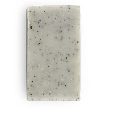 CLEMENCE ET VIVIEN Clemence &amp Vivien Savon Surgras le Gecko Exfoliant 100g