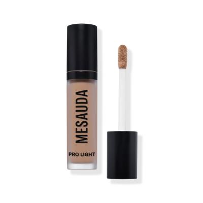 MESAUDA BEAUTY Mesauda Milano - PRO LIGHT CONCEALER CORRECTEUR N80 30 ml