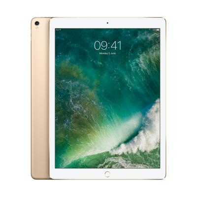 Apple iPad Pro 256 Go WiFi + 4G Or 12.9 