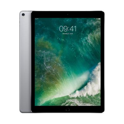 Apple iPad Pro 512 Go WiFi Gris sid&eacute;ral 12.9