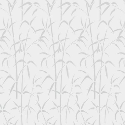  Film occultant statique pour vitre d-c-fix&reg; Static Bambou 1.5m x 0.45m