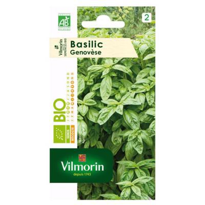 VILMORIN  Sachet graines Basilic Genovese Bio - Ocimum basilicum